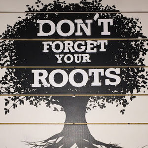 Meet your Posher, Laanne